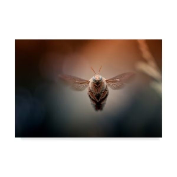 Heri Wijaya 'Cahaya Emas' Canvas Art, 22x32, Trademark Fine Art, Mfr#: 1X05635-C2232GG